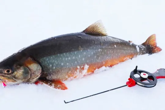 Ice Fishing – private trip
