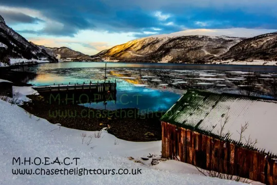 Scenic and photographic wildlife & fjord excursions