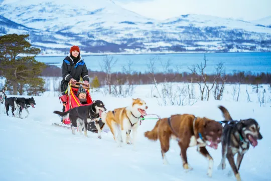 hundekjøring med fjell og hav i bakgrunnen