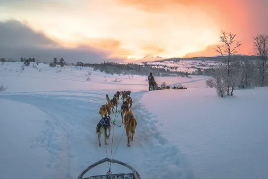 Utsikt fra hundeslede, sollys og skyer i bakgrunnen