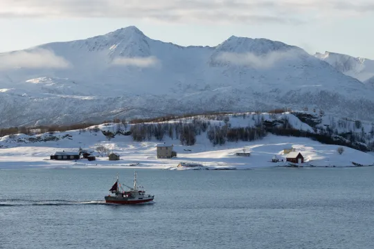 Sommarøy Arctic day trip- a round tour of Kvaløya island