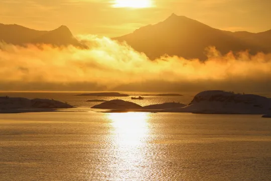 Arctic Light Dinner Cruise