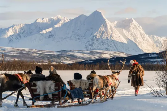 Reindeer Sledding with Sami Culture