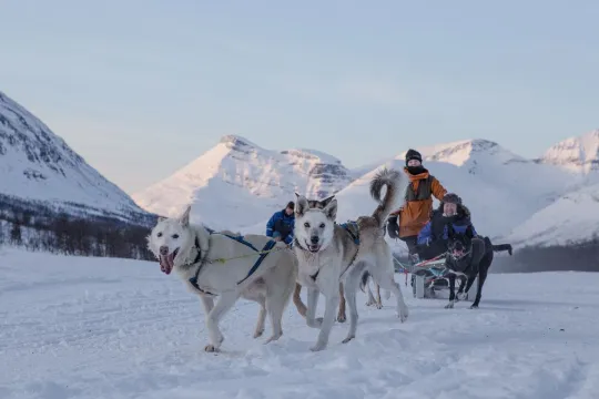 Hundeslede utenfor Tromsø