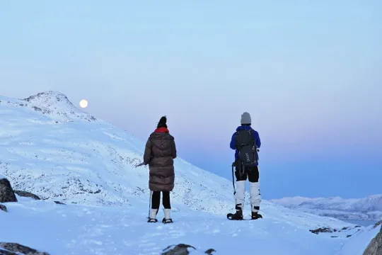 Snowshoe Hike in The Arctic