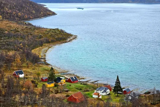 Arctic Wildlife & Fjord sightseeing by car