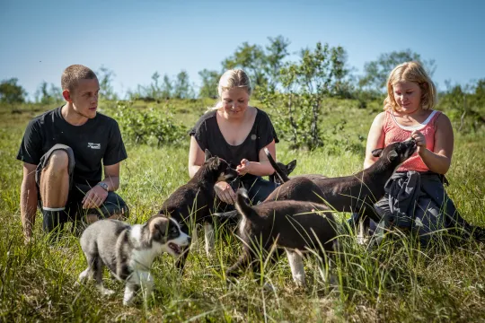 Tre personer sammen med valper