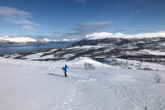 Trugetur med Reinsdyr