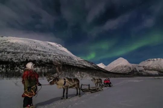 Reinsdyrslede med nordlys over