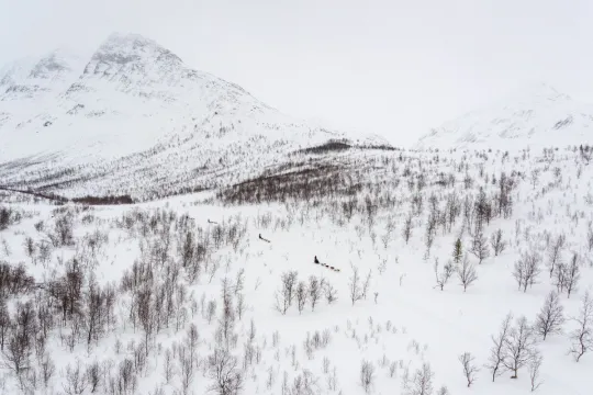 Fjell på Camp Tamok