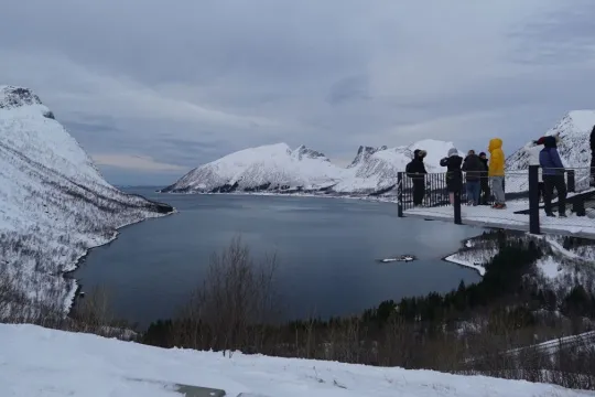 Guest look at a fjord from a viewpoint