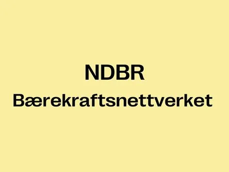 NDBR teaser tittel