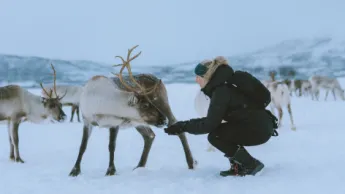 Sami Experience with reindeer © Vegard Stien